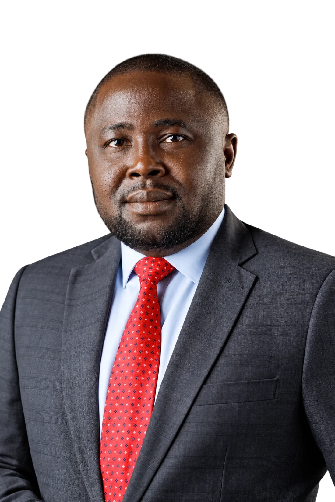Mr. Chukwukadibia Okoye, FCCA, Commissioner